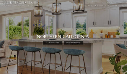 Website homepage