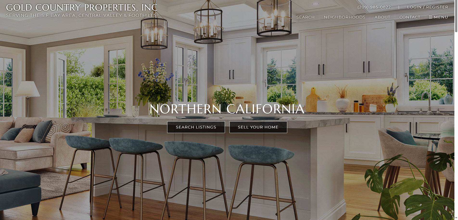 Website homepage